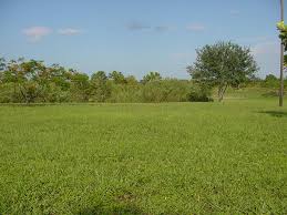 Land Consultants / Real Estate